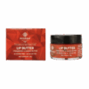 Ayurvedic Strawberry & Mango Lip Butter | Rosenia Ayurveda